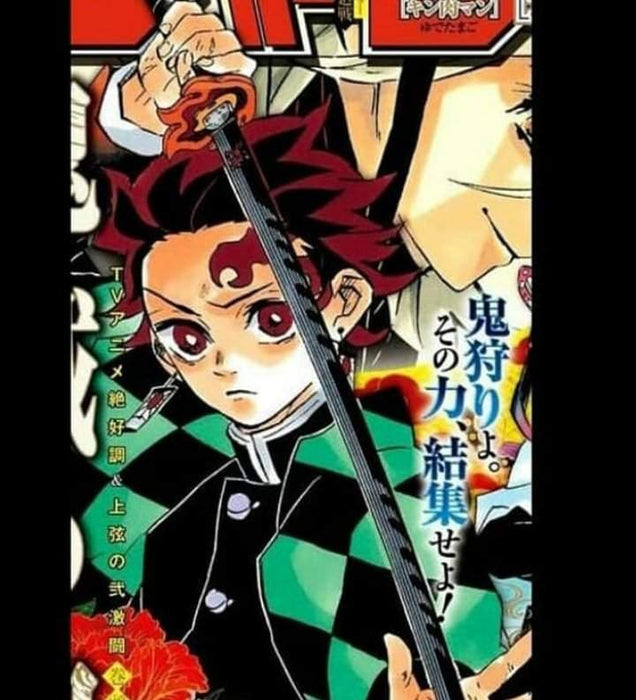Metal Katana / Sword Tanjiro Kamado Demon Slayer: Kimetsu No Yaiba Latest/Final Nichirin Taichi (343B/3021)