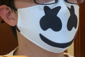 Anime Face Masks with Filter/Nose Clip/Adjustable Length