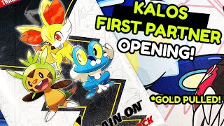 Pokemon - TCG - First Partner Kalos Pack/ Alola Pack